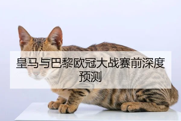 皇马与巴黎欧冠大战赛前深度预测
